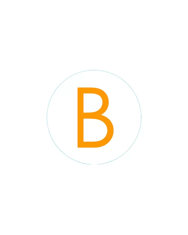Bogg Bit Initial “B”