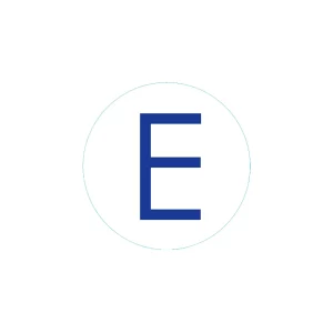 Bogg Bit Initial “E”
