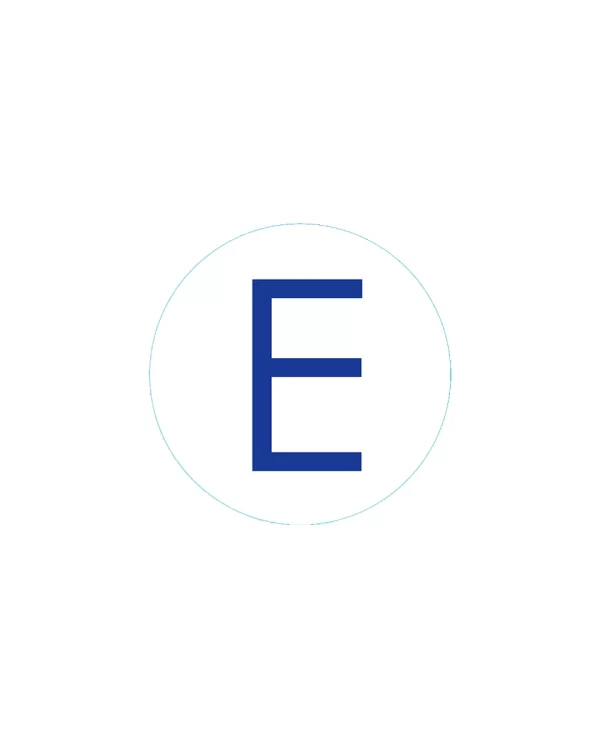 Bogg Bit Initial “E”