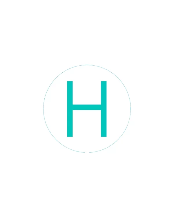 Bogg Bit Initial “H”
