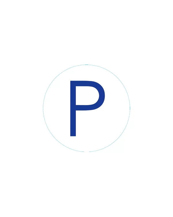 Bogg Bit Initial “P”
