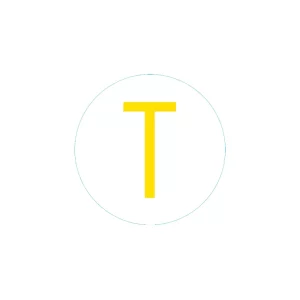 Bogg Bit Initial “T”