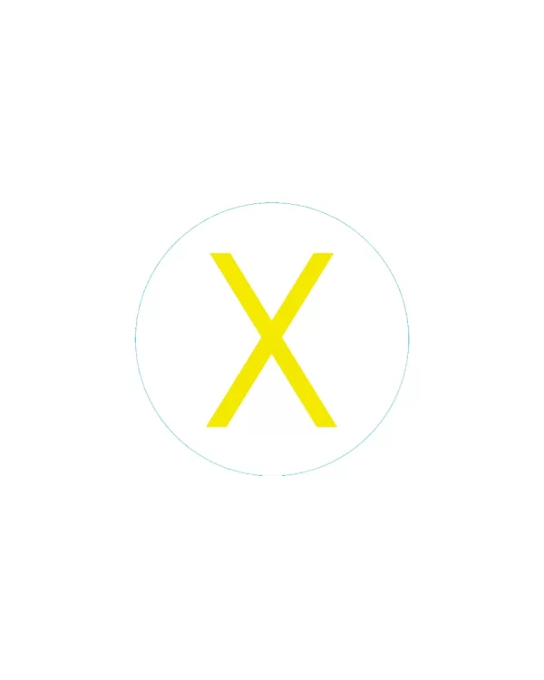 Bogg Bit Initial “X”